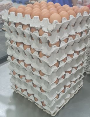 EGGS